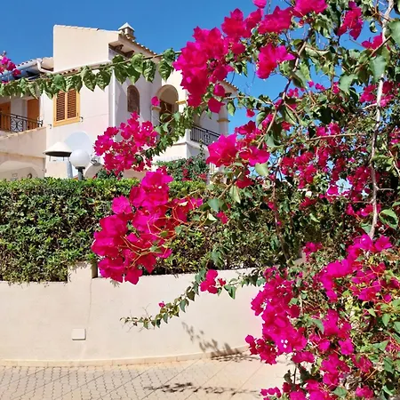 Paraiso La Mata Apartment *